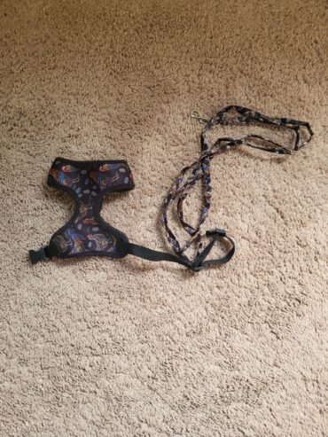 Chicken Harness and Leash