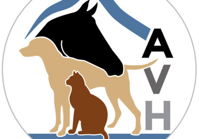 AVH_round_logo_2019-2