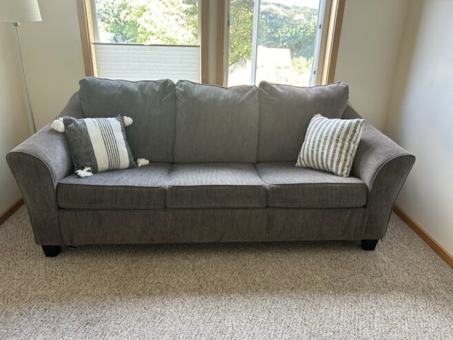 Queen Sleeper Sofa (1 year old)