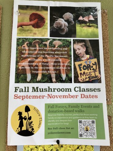 Fall mushroom classes