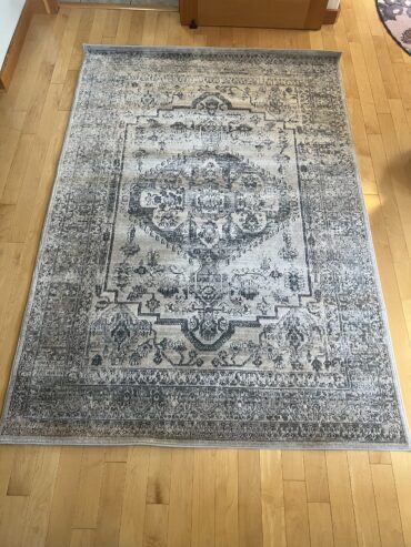 Martha Stewart 5×7 area rug(s)