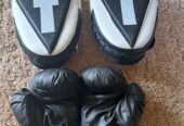 Boxing gloves and practice mits