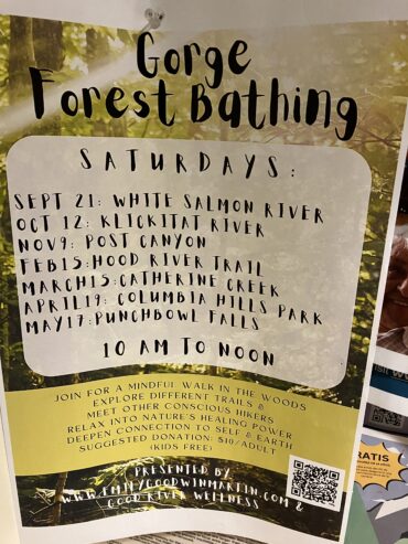 Forest bathing oct 12