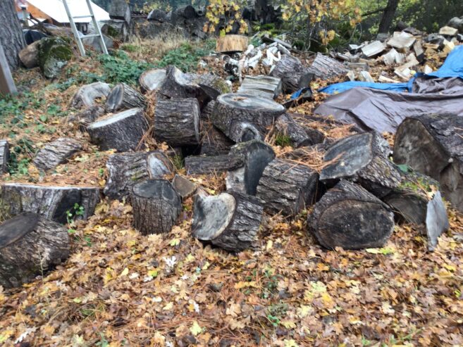 Black walnut firewood