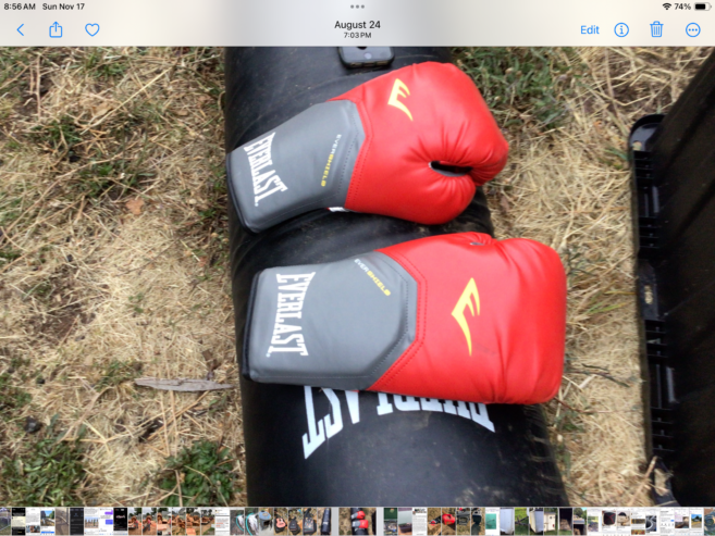 Boxing bag and gloves