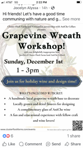 Grape vine workshop