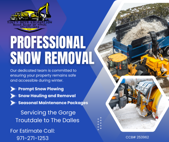 Professional Snow Removal