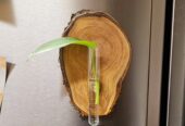 Wood vase Magnets