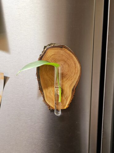 Wood vase Magnets