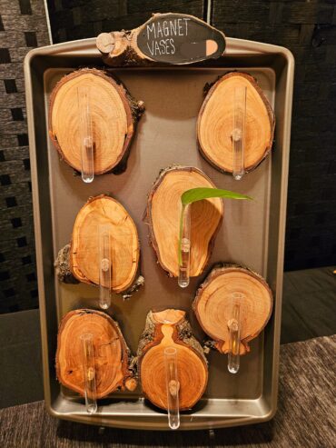 Wood vase Magnets