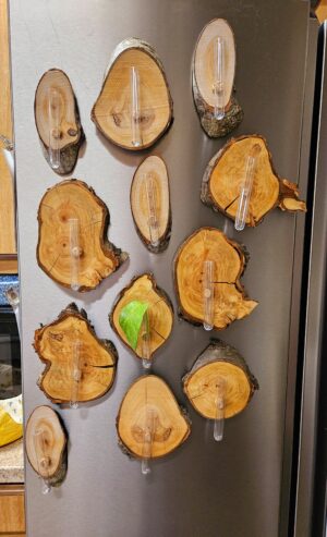 Wood vase Magnets