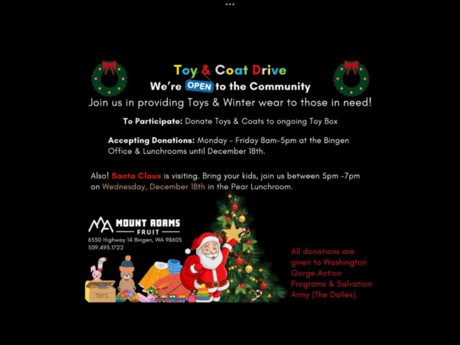 Toy drive