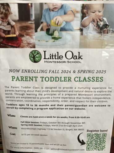 Toddler classes