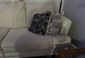 Couch for Sale