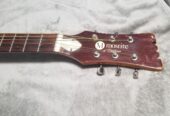 Mosrite Serenade acoustic guitar