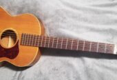 Mosrite Serenade acoustic guitar