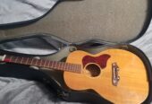 Mosrite Serenade acoustic guitar