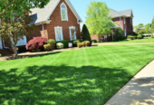 Landscaping services