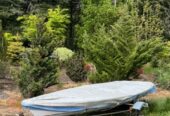 Laser Sailboat with Trailer