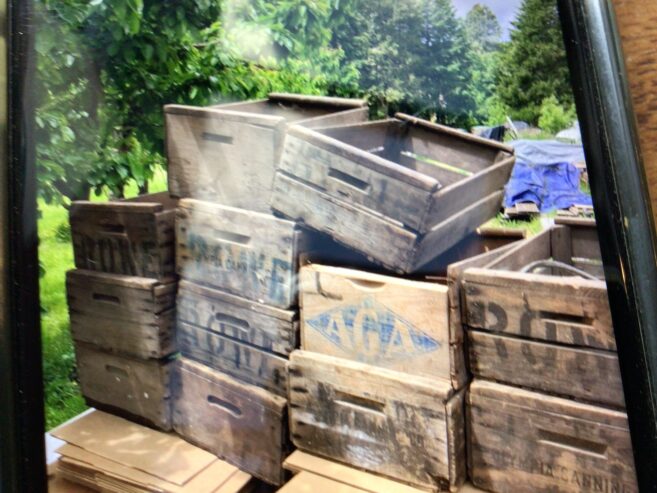 Apple boxes