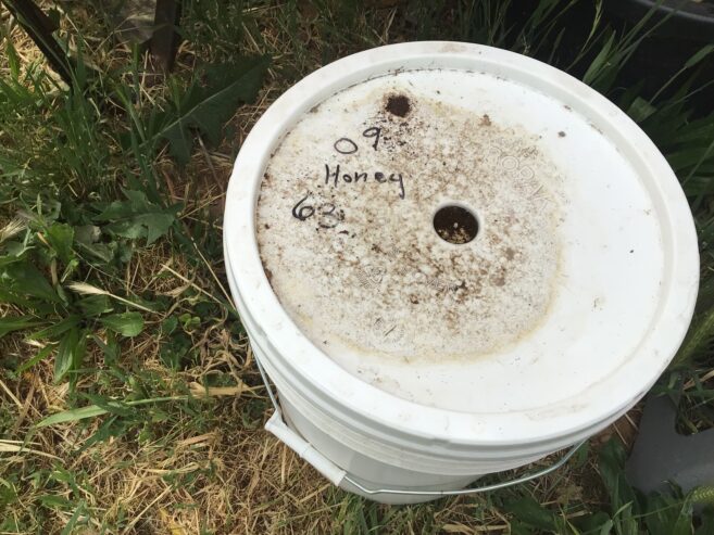 Five gallons of honey