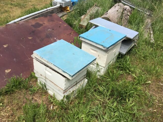 Bee hives