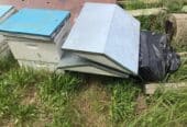 Bee hives