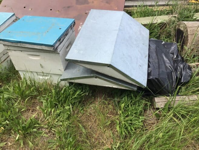 Bee hives