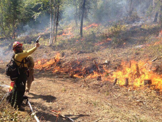 FIGHT FIRE THIS SUMMER – FREE TRAINING – EXCELLENT PAY!!!