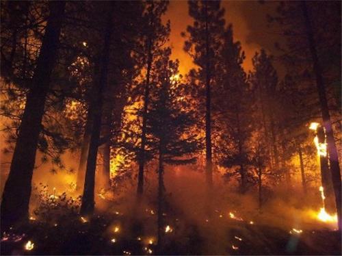 FIGHT FIRE THIS SUMMER – FREE TRAINING – EXCELLENT PAY!!!