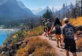 FIGHT FIRE THIS SUMMER – FREE TRAINING – EXCELLENT PAY!!!