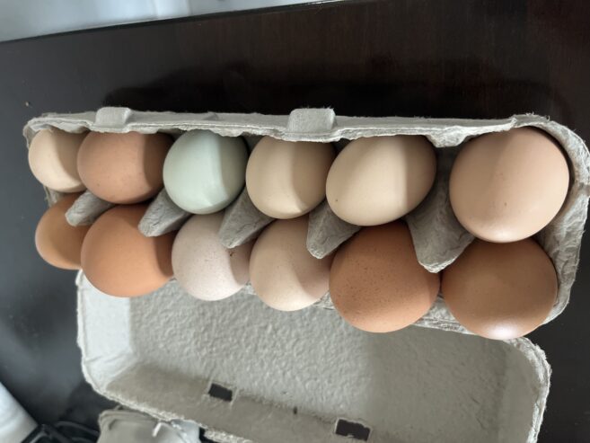 Chicken eggs