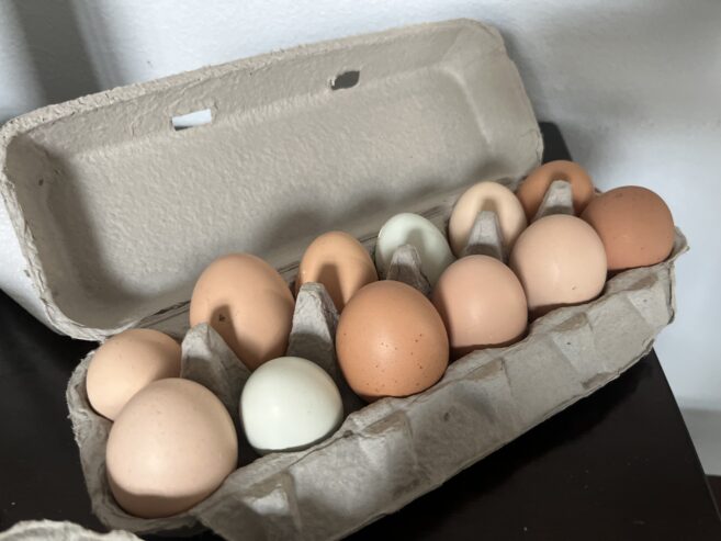 Chicken eggs