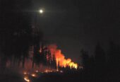 FIGHT FIRE THIS SUMMER – FREE TRAINING – EXCELLENT PAY!!!