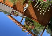 Home remodel/project!