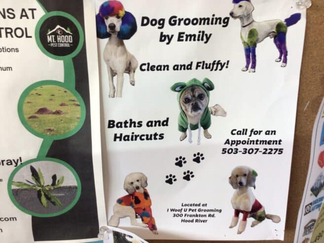 Pet grooming