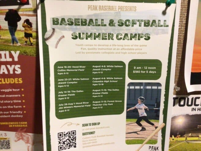 Baseball camp