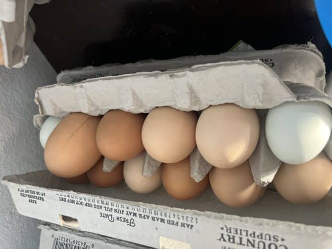 Chicken eggs