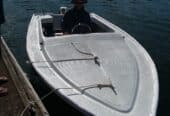 Boats, Boats, Noats