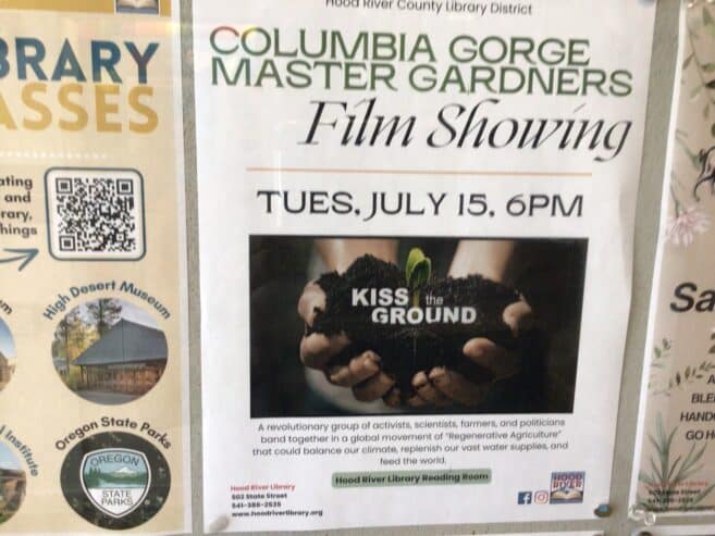 Film showing tuesday