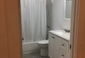 Big Yard 1b/1ba + Office, Downstairs Apt in Quiet Neighborhood