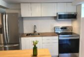 Big Yard 1b/1ba + Office, Downstairs Apt in Quiet Neighborhood