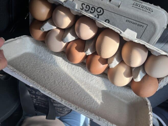 Chicken eggs