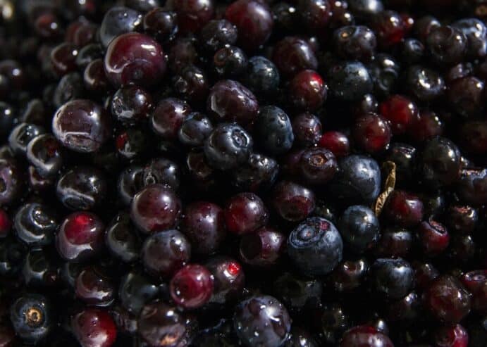 FRESH HUCKLEBERRIES