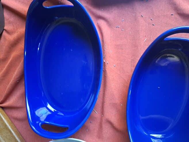 Rachel Ray serving dishes