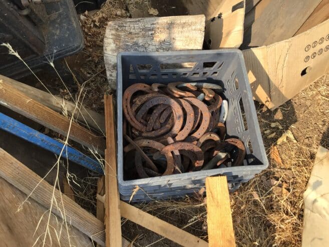 Horse shoes