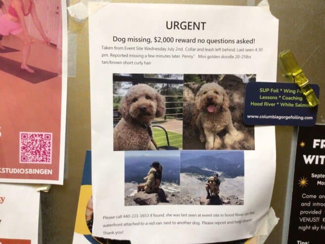 2000 dollar reward