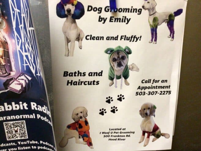 Dog care