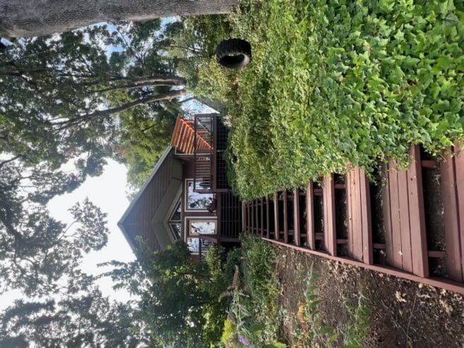 Yard work-help wanted