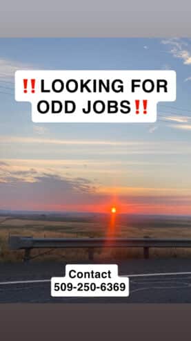 Looking for Job